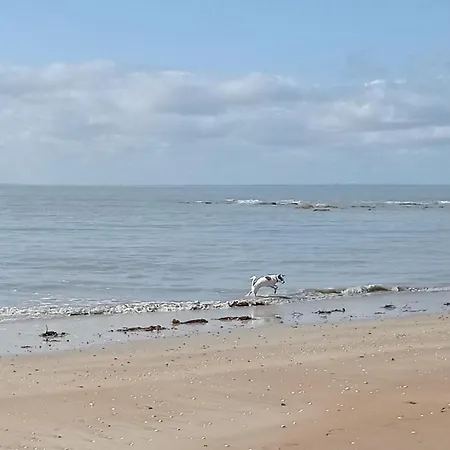 A L'abri Des Vents