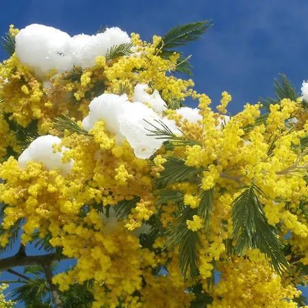 Bed and breakfast A L'abri Des Vents Saint-Jean-le-Thomas